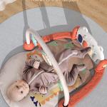 Baby Gyms & Playmats