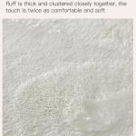 Carpets