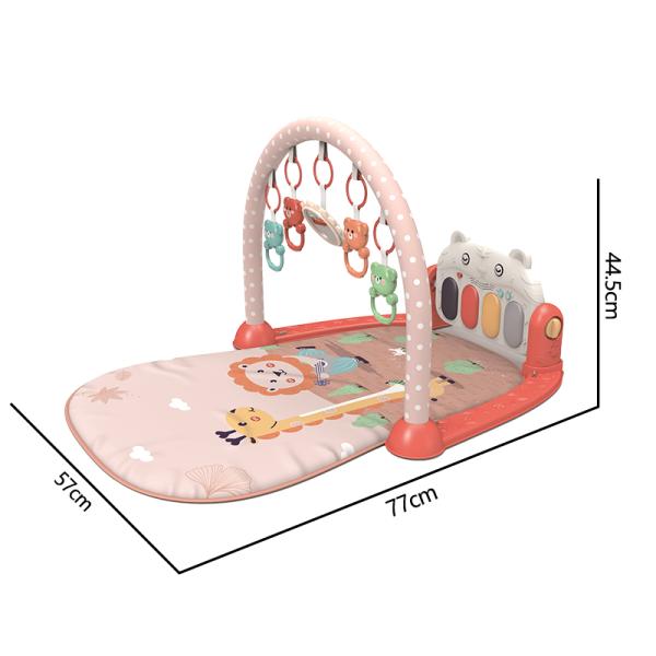 Baby Gyms & Playmats