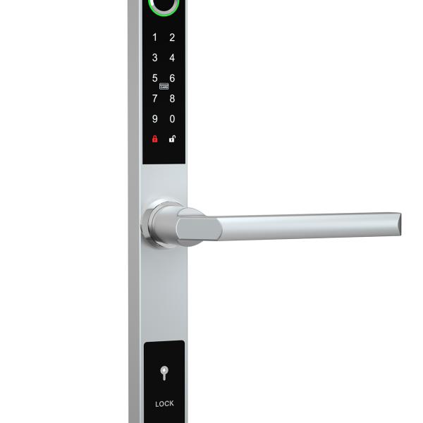 Door Hardware & Locks