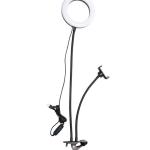 Tripods & Monopods