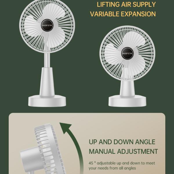Fan