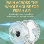 Fan