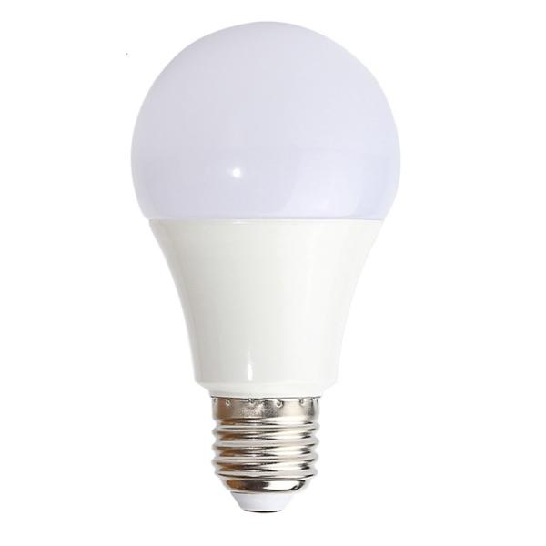 Bulbs