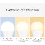 Bulbs