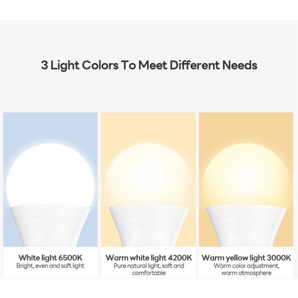 Bulbs