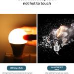 Bulbs