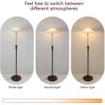 Floor Lamps