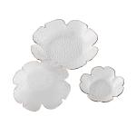 Dinner Plates