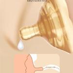 Nipple Shields/Accessories