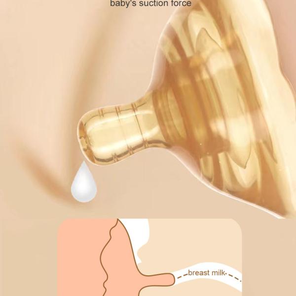 Nipple Shields/Accessories