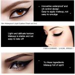 Eye Liner Liquid