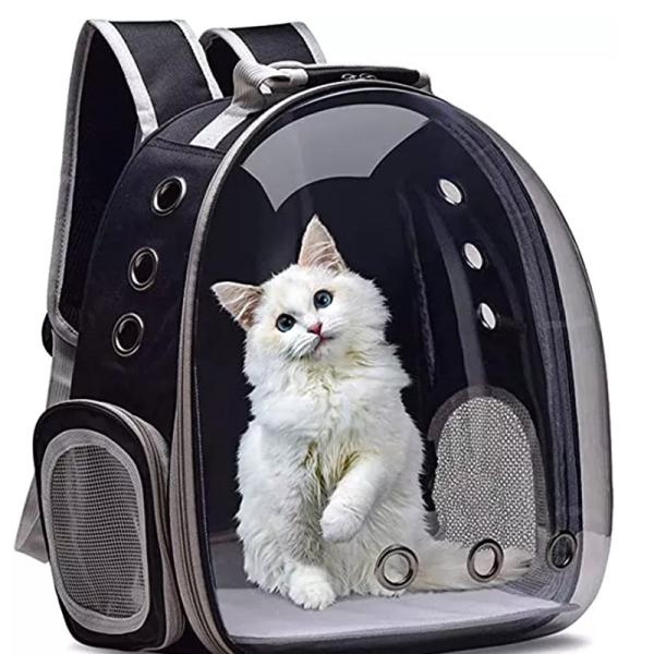 Backpacks