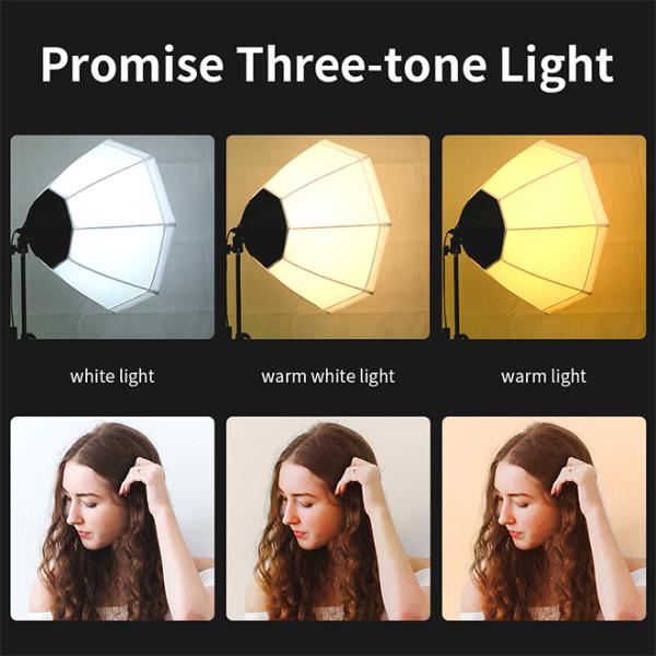 Photography Light Kit
