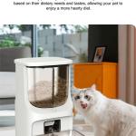 Bowls/Feeders