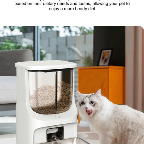 Bowls/Feeders