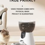 Bowls/Feeders