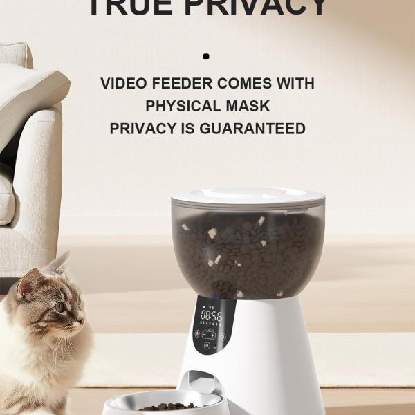 Bowls/Feeders