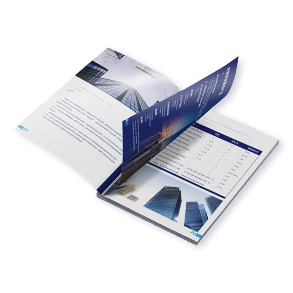 Product Catalog Brochure Design Single Page Printing For Company Promotional Folding Pages Product Manual