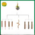 Gardening Tools - Pet Gardening Supplies - Tools Plant Protection Insect Nets Butterfly Net