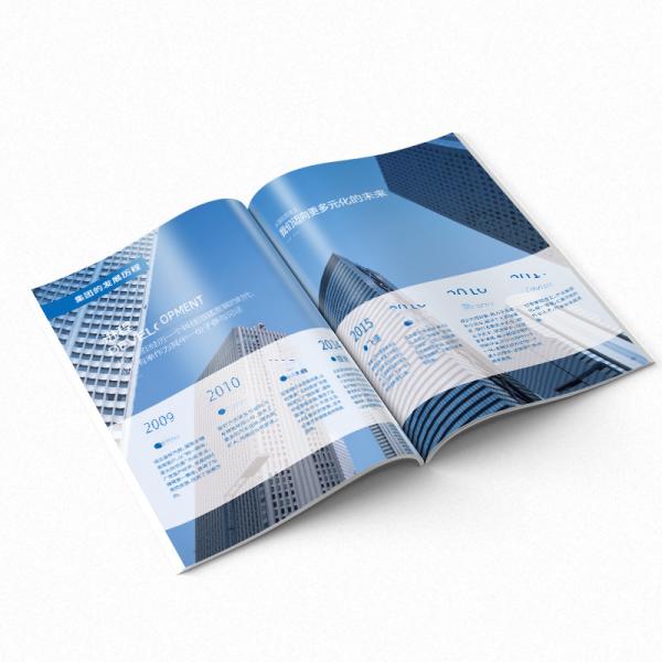 Packaging/promotional Brochure/catalogue For Dingsheng Brand Surgical Instruments