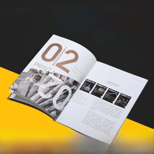 Packaging/promotional Brochure/catalogue For Dingsheng Brand Surgical Instruments