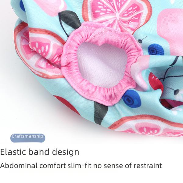 Amazon New Dog Physiological Pants Female Dog Urine Pants Menstrual Pet Physiological Factory Direct