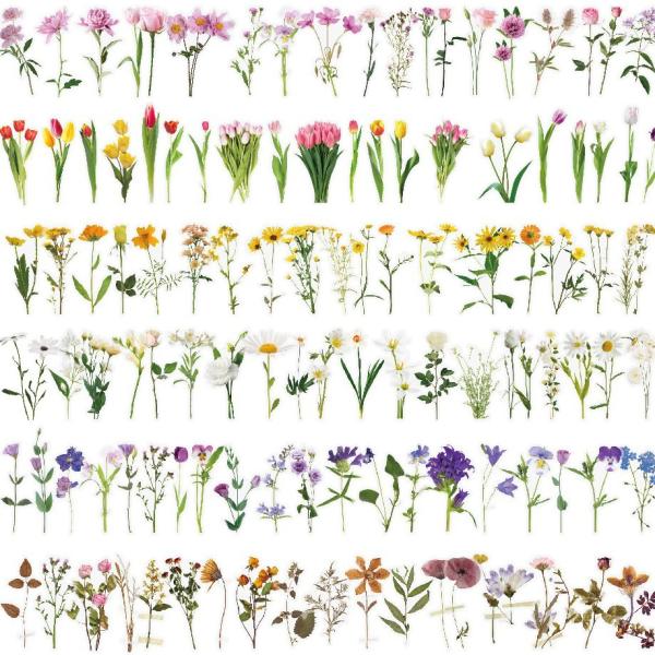 Waterproof Transparent Pet Flower Stickers Bullet Journal Diy Tulip Material Handbook Decals Office Culture Stationery Stickers