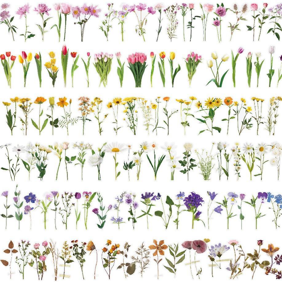 Waterproof Transparent Pet Flower Stickers Bullet Journal Diy Tulip Material Handbook Decals Office Culture Stationery Stickers